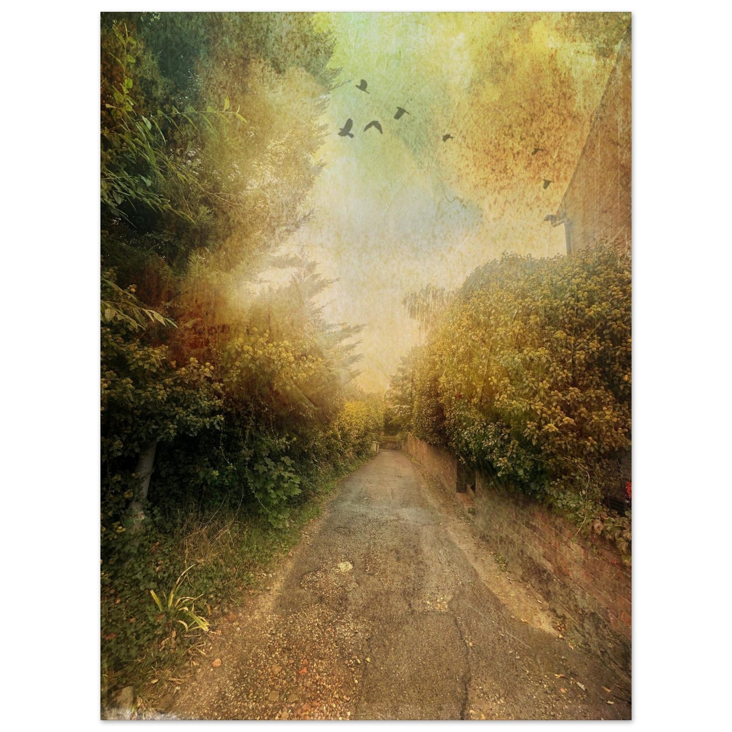 8d82f200-29cb-40b6-bdb0-1a8cfbcb7c68