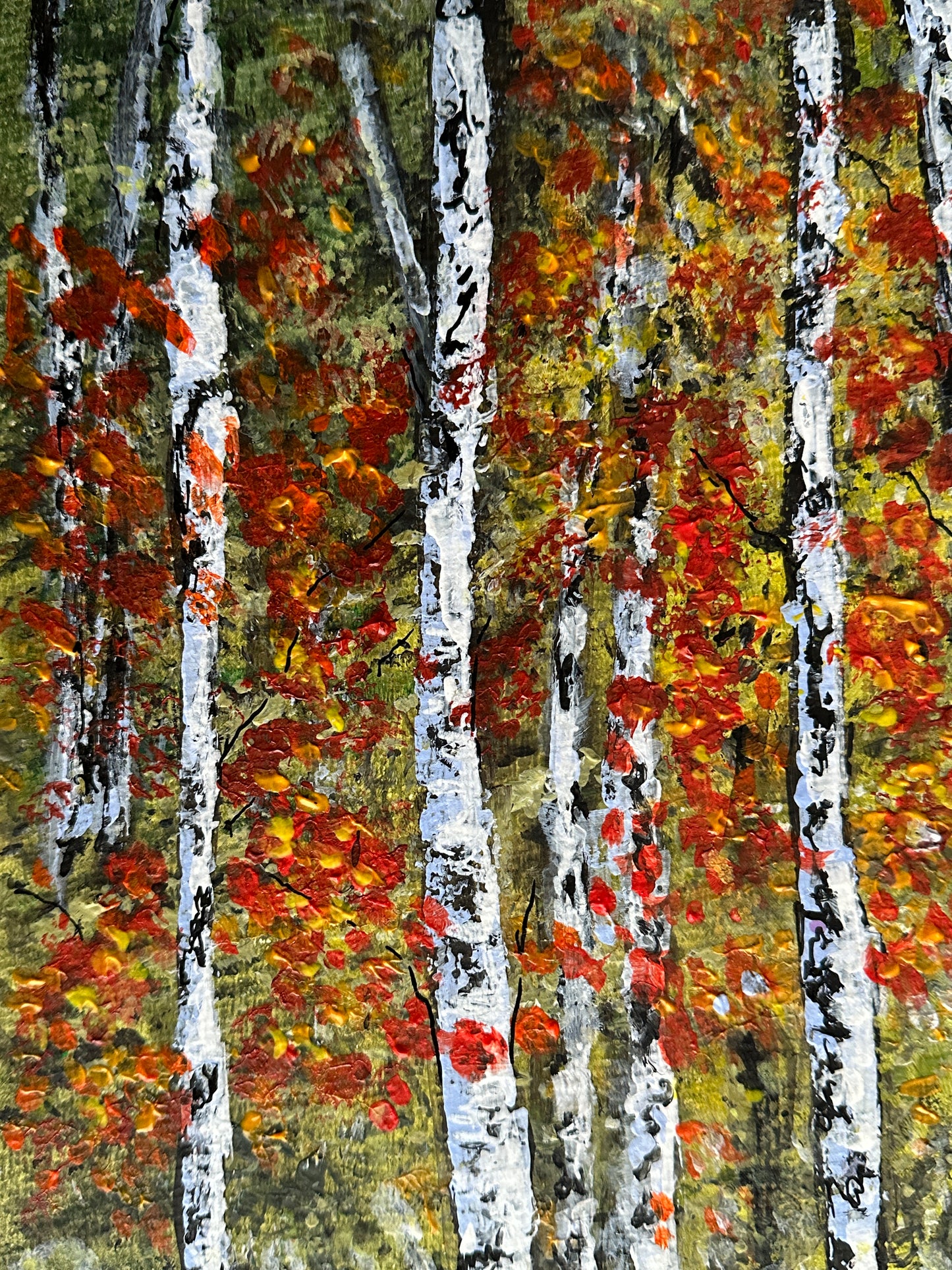 "Tranquil Aspen Trees" - Delve into the calming presence of the majestic aspen trees.